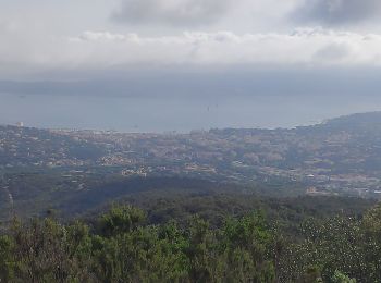 Randonnée Marche Sainte-Maxime - ste maxime le deffen - Photo