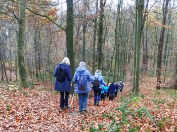 Tour Zu Fuß Chaumont-Gistoux - #181130 - Autour de Vieusart, version courte - Photo