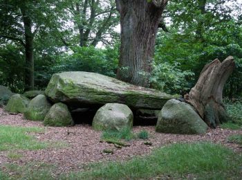 Randonnée A pied Großenkneten - Rundwanderweg 14 Grossenkneten - Photo