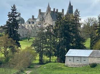 Excursión Senderismo Vitré - Tour du lac de lavallière  - Photo