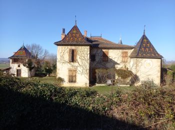 Randonnée Marche Lens-Lestang - Lens Lestang- route des Châteaux - Photo