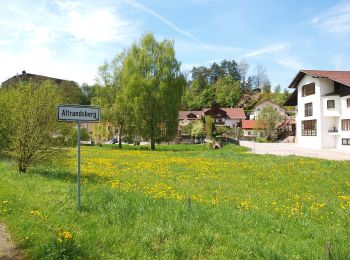 Excursión A pie Miltach - A2 Altrandsberg – Moosbach – Altrandsberg - Photo