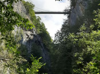 Tour Wandern Gruffy - chaos du cheran Scrat - Photo