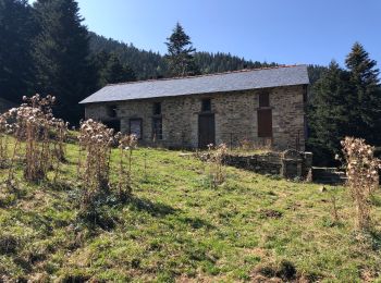 Tour Wandern Fillols - FILLOLS à refuge BALAIG avant les Cortalets  - Photo