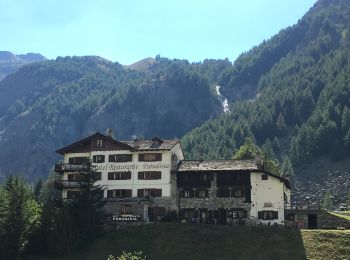Trail Walking Cogne - Cogne Valnontey - Photo