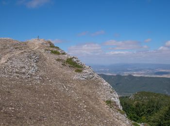 Tocht Te voet Peñacerrada-Urizaharra - Ermita de Toloño / Toloñoko ermita - Photo