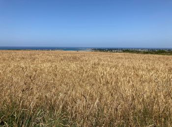 Trail Road bike Plouguerneau - Plage du Zorn - Curnic - Menez Ham - Phare de Kervenven er retour - Photo