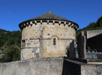 Percorso A piedi Chambon-sur-Lac - Voissière - Photo