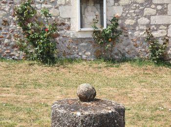 Excursión Senderismo Saint-Benoît-la-Forêt - 18-05-22 - Photo