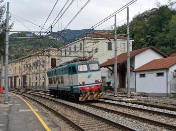 Randonnée A pied Mignanego - Ponterosso - Montanesi - Santuario N.S. della Vittoria - Photo