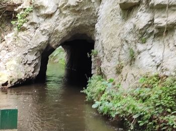 Randonnée Marche Ille-sur-Têt - Ille sur tet - Photo