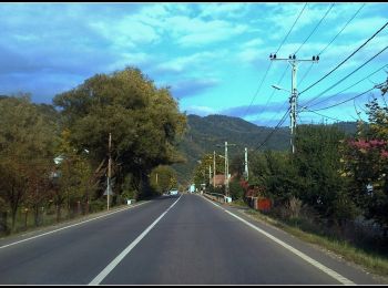 Tocht Te voet  - Răstolița-Curmătura Tihului - Photo