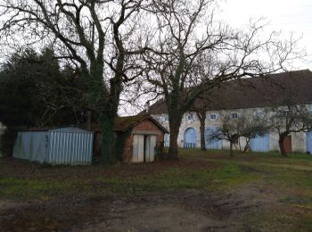 Tour Zu Fuß Dampierre - Sentier des Mines - Photo