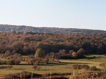 Tour Zu Fuß Bligny-sur-Ouche - Rail d'Antan 23 km - Photo