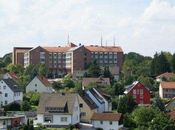 Tocht Te voet Illschwang - Sulzbach-Rosenberg 2 - Photo