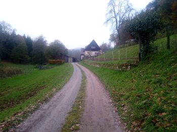 Tour Zu Fuß Kirchzell - Rundwanderweg Ottorfszelll 3 - Photo