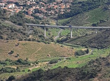 Trail Walking Collioure - Collioure La tour de Madaloc - Photo