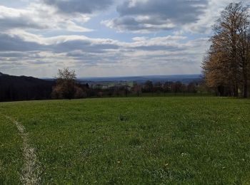 Tour Wandern Fougerolles-Saint-Valbert - 17-04-21 circuit pont Ferjeux, Basse Robert - Photo