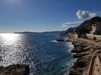 Randonnée Marche Cap-d'Ail - La tête de chien-boucle Cap D'ailleurs AR - Photo