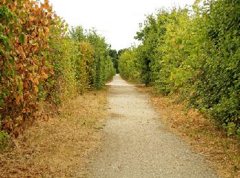 Randonnée V.T.C. Brie-Comte-Robert - Chemin des Roses - Brie-Comte-Robert / Yébles - Photo