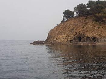 Percorso Marcia Cerbère - les aloès. cerbère . coll dells belitres (espagne) . cap cerbère . cerbère. les aloès   - Photo