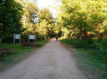 Tocht Stappen La Ville-aux-Dames - Île de la Métairie - 2016 03 13 - Photo