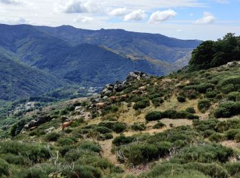 Randonnée Marche Saint-Sauveur-Camprieu - Camprieux - Photo