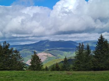 Randonnée Marche Grendelbruch - Tour du petit Rosskopf & piton du Falkenstein - Photo