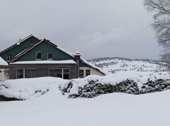 Percorso Sci alpinismo Cornimont - 24-01-21 SRN Brabant - Photo