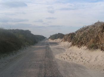 Trail Walking Cayeux-sur-Mer - LP80_Brighton_LeHourdel-(par-Route-Blanche)_8.5km - Photo