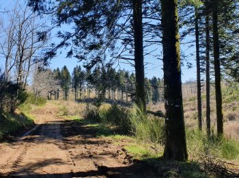 Tocht Stappen Les Cammazes - A partir du Lac des Cammazes - Photo