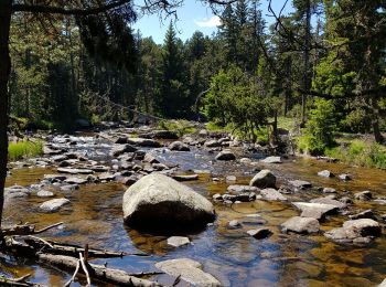 Excursión Senderismo Bolquère -  Bolquère .Petit Canada Pla de Barrès - Photo