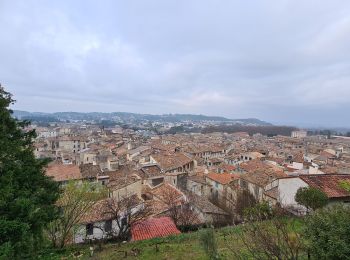 Trail Walking Sommières - sommieres-aujargues-Manade - Photo