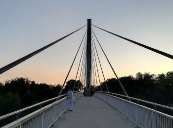 Percorso A piedi Bad Abbach - K3 Kurpark, Donaupromenade, Fußgängerbrücke, Schleuse BA und zurück - Photo