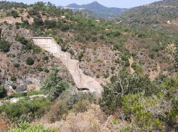 Tocht Mountainbike Montauroux - barrage de Malpasset  - Photo