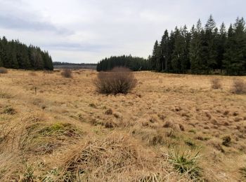 Randonnée Marche Bullange - Vallée de la Schwalme - Photo