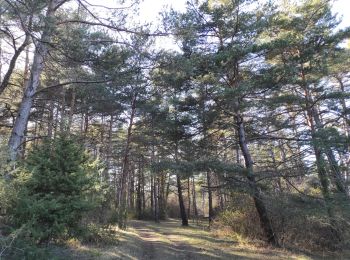 Tour Wandern Laragne-Montéglin - Vieil Arzellier/Vieil Eyguians.21/02/21. - Photo