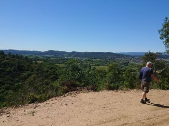 Tour Wandern Les Arcs-sur-Argens - l'apié de raybaud - Photo