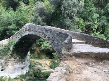 Excursión Senderismo Montauroux - Montouroux-Pont des Tuves-Pont de Rey - Photo