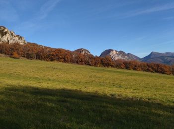 Randonnée Marche Saou - 26 roche colombe zel - Photo