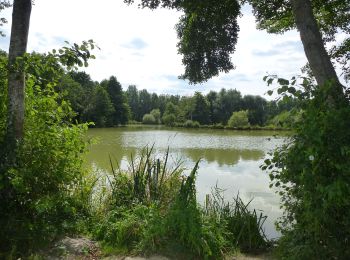 Tour Zu Fuß Bourgbarré - Circuit de la Vayrie - Photo