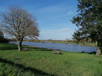 Excursión Senderismo Haute-Goulaine - Circuit des Marais  2 - Photo