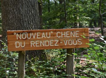 Randonnée Marche Baelen - 20210719 - Chêne du rendez-vous - 8 Km - Photo