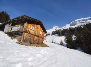 Percorso Sci alpinismo Le Grand-Bornand - PT 2595au dessus du col des Verts - Photo