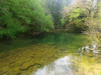 Tocht Te voet Ornans - 2025-04-27_09h14m55_visorando-le-puits-de-la-breme - Photo