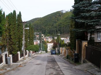 Excursión A pie okres Trenčín - Náučný chodník Čvirigovec - Photo