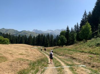 Randonnée Marche Verchaix - Plateau de Loex Myrtilles  - Photo