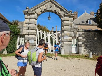 Randonnée Marche Chéroy - cheroy - Photo