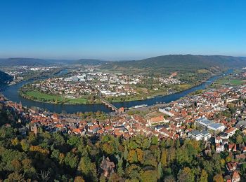 Randonnée A pied Miltenberg - Rundwanderweg Miltenberg 4: Steinerner-Weg - Photo