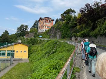 Trail Walking Miazzina - 18.06.2023 - Miazzina - Le Lac Majeur et ses alpages - Photo